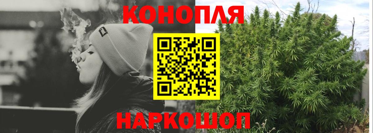 Бошки Шишки конопля  Вход с VPN  Канабис конопля  Кувандык 